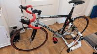 Specialized Allez Pro Rennrad Shimano Ultegra ST 6500 Dresden - Blasewitz Vorschau