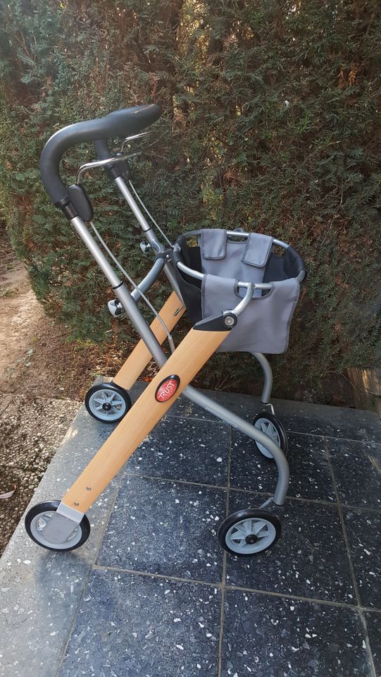 Indoor Rollator Trust Care Gehhilfe für Innenbereich Wohnung in Alfter