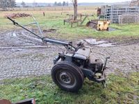 Einachschlepper Pflug Gartengerät Sachsen - Wachau Vorschau