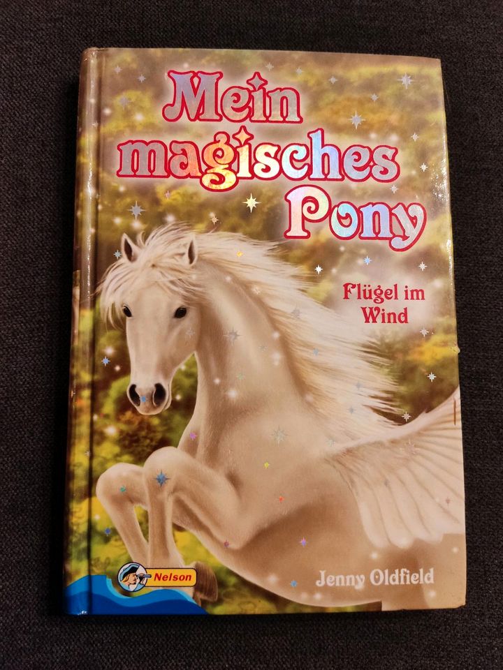 Mein magisches Pony Flügel im Wind von Jenny Oldfield in Neidlingen