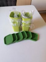 Tupperware 6 Mini Förmchen Niedersachsen - Schortens Vorschau