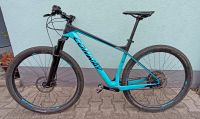 Conway RLC 4 Hardtail (2020) Carbon MTB Rheinland-Pfalz - Dienheim Vorschau