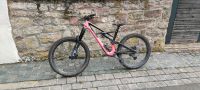 Specialized Enduro Gr. L Bayern - Erlabrunn Vorschau