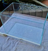 Blau Cubic Panoramic Aquarium 28 L Nano Aquascaping Baden-Württemberg - Lorch Vorschau