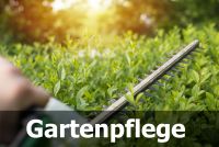 Gartenpflege / Rasenmähen / Hecke schneiden / Wurzeln fräsen Niedersachsen - Ahausen Vorschau