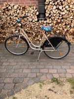 Fahrrad Damen Schleswig-Holstein - Stuvenborn Vorschau