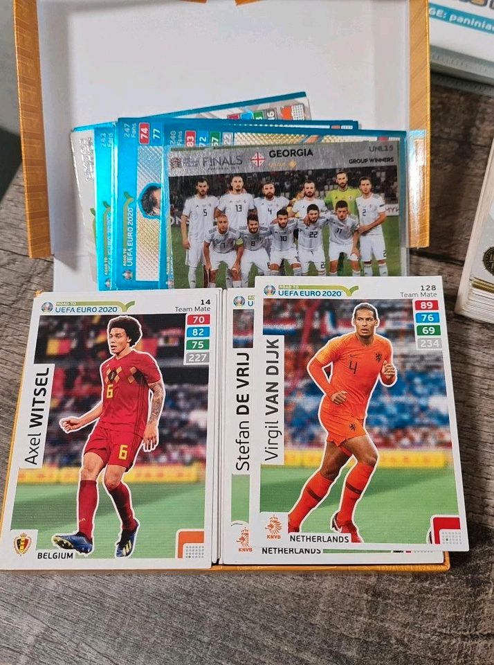 Sammelkarten Match Attax / Panini in Delitzsch