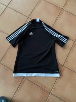 Adidas Sportshirt M Herren Nordrhein-Westfalen - Solingen Vorschau