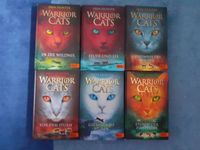 Warrior Cats Staffel 1 Bücher Sachsen-Anhalt - Halle Vorschau