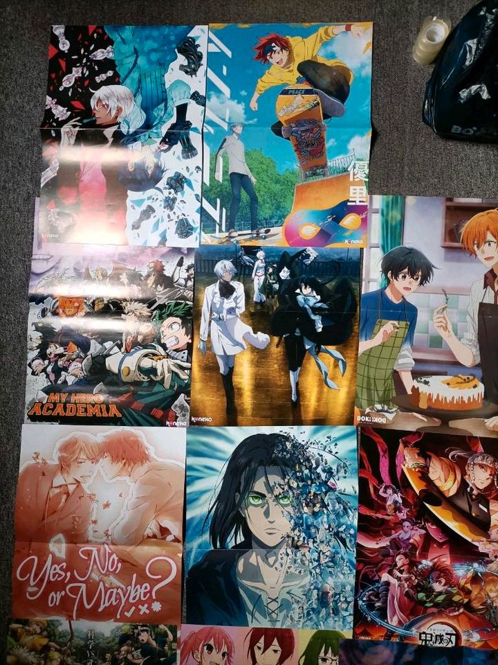 Verschiedene Anime Poster Aot Pokemon Demon Slayer Vanitas mha bl in Harsum