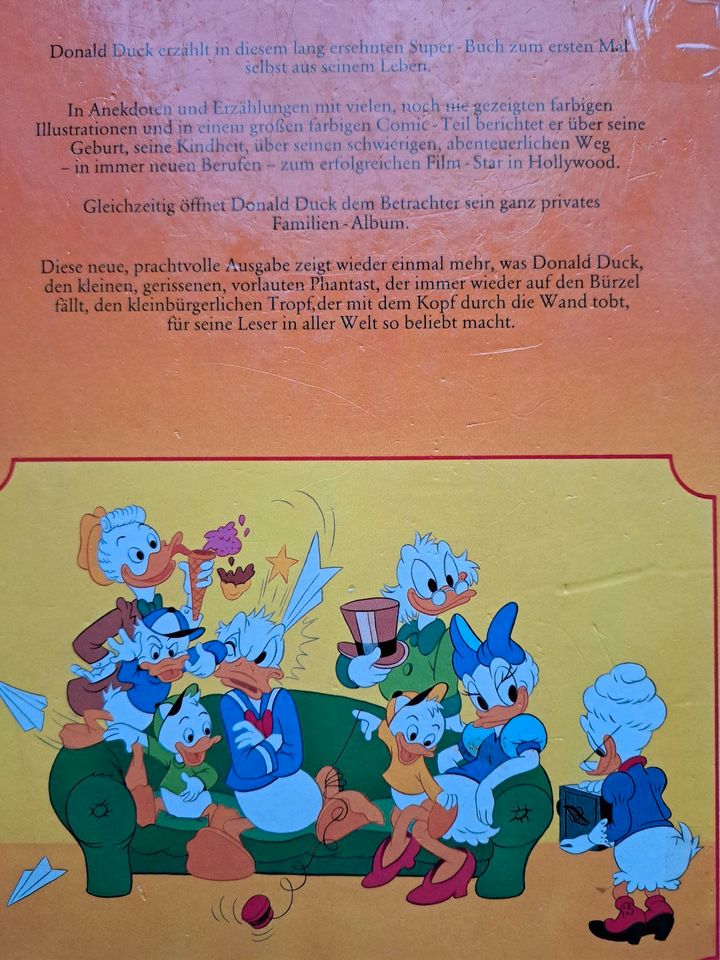 Donald Duck, eine Ente wie du und ich in Roxel