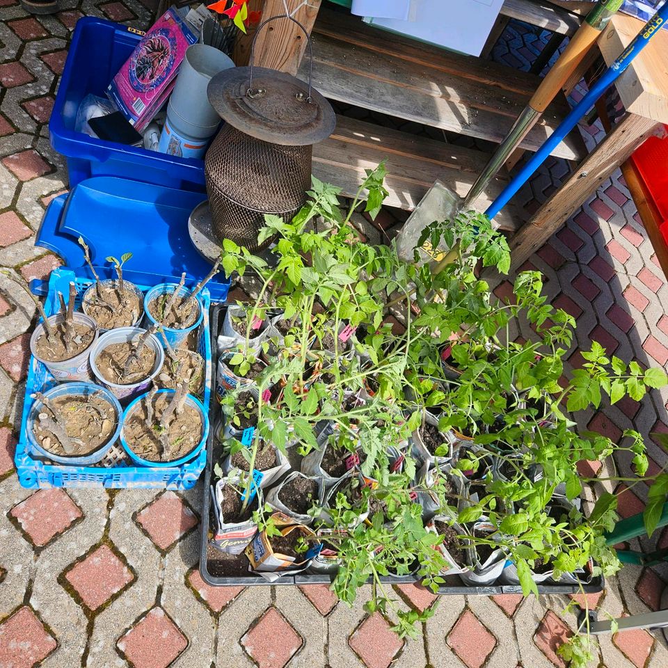 Gartenflohmarkt 25.5.2024 in Aegidienberg in Bad Honnef