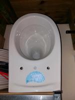 WC Villeroy&Boch Model Saval neu Brandenburg - Panketal Vorschau