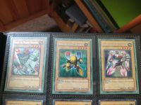 Yu-Gi-Oh Magnet-Krieger Sammlung: Secret Rare, oldschool ✨ Baden-Württemberg - Ravensburg Vorschau