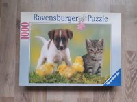 Ravensburger 1000 Teile Puzzle "Freundschaft" mit Hund und Katze Bielefeld - Bielefeld (Innenstadt) Vorschau