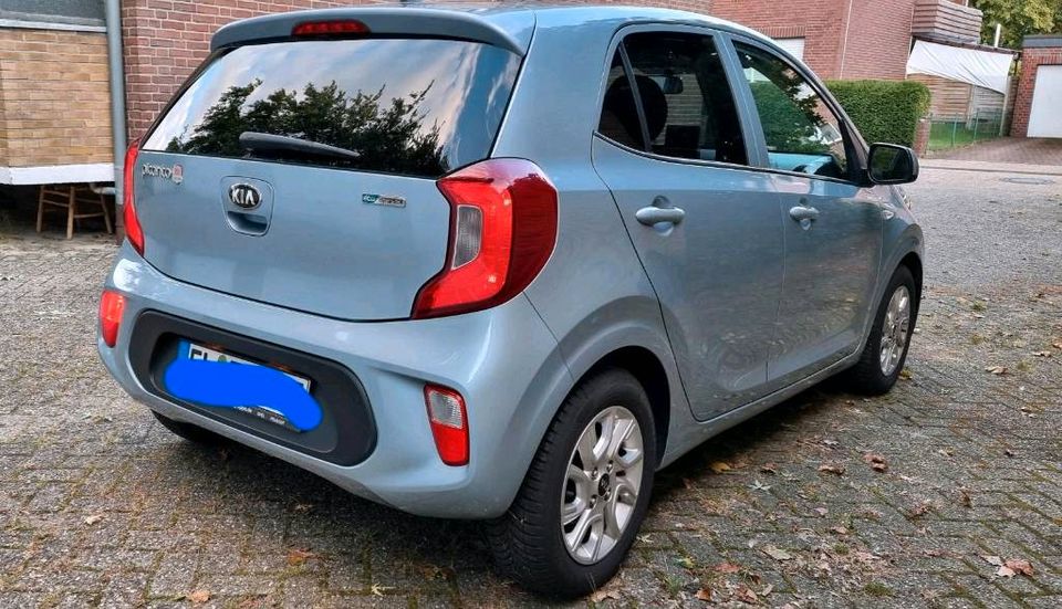 Kia Picanto 1.0 UNFALLFREI in Lingen (Ems)