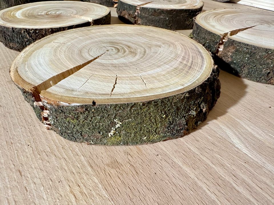 Kirschbaum Scheiben Baumscheiben Holzscheiben in Ehingen Mittelfr