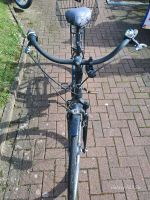 Ich biete eine Fahrrad Nordrhein-Westfalen - Bad Lippspringe Vorschau
