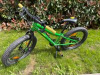 Kinderfahrrad Bergamont Bergamonster grün (20 Zoll) Rheinland-Pfalz - Mainz Vorschau