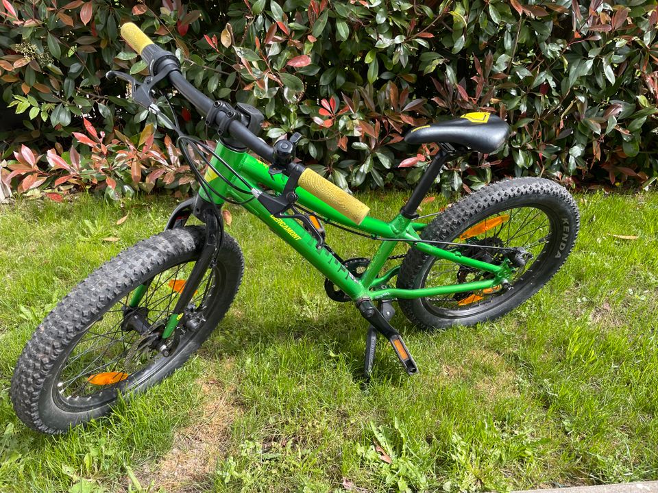 Kinderfahrrad Bergamont Bergamonster grün (20 Zoll) in Mainz