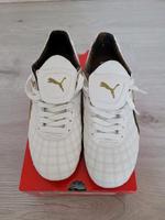 Puma Delmundo LS Brandenburg - Bad Belzig Vorschau