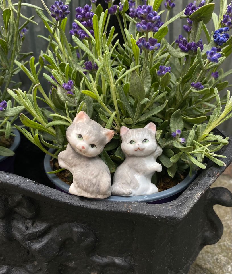 2 kleine Porzellan Katzen Figuren 4cm in Geesthacht