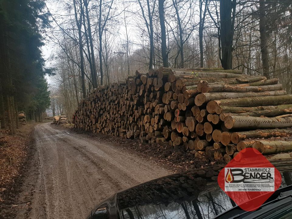 Buche Stammholz Rundholz Brennholz inkl. Lieferung in Herborn