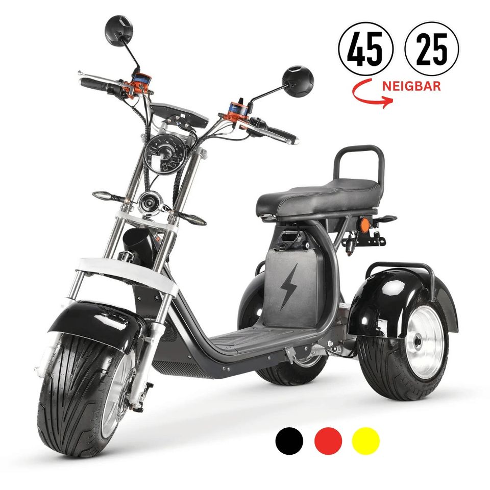 City Coco Bike Trike CP-7 4.0 kW Neigbare Achse E-Trike 3 Rad in Hanau