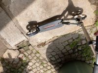 Roller weiß Freiburg im Breisgau - Heuweiler Vorschau