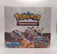 Pokemon Display 36er / 18er Obsidian Flammen -DE-  Pokémon Dithmarschen - Meldorf Vorschau