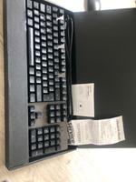 Logitech G413 Carbon Nordrhein-Westfalen - Castrop-Rauxel Vorschau