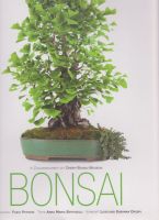 Bonsai - Crespi Bonsai Museum - XXL-Format  -NEU Bayern - Bad Wörishofen Vorschau