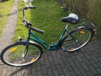 MÖWE Damenfahrrad Tiefeneinstig Fahrrad 28 Zoll RH 50 cm Hessen - Gladenbach Vorschau