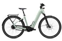 ✅ FLYER UPSTREET 7.23 DAMEN E-BIKE ⚡️750ER AKKU⚡️ XXL E-BIKE **UVP 5899€* PANASONIC TREKKING E-BIKE MIT RIEMENANTRIEB 877701 Nordrhein-Westfalen - Grevenbroich Vorschau