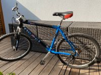 Mountainbike MTB 26 Zoll Rheinland-Pfalz - Trierweiler Vorschau