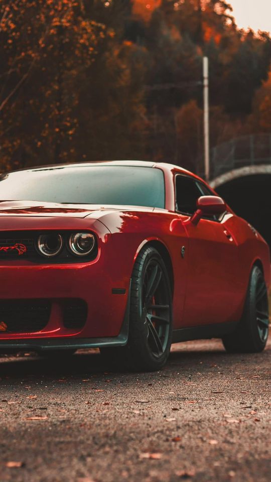 Dodge Challenger Hellcat Manual 2016 6.2l V8 in Dresden