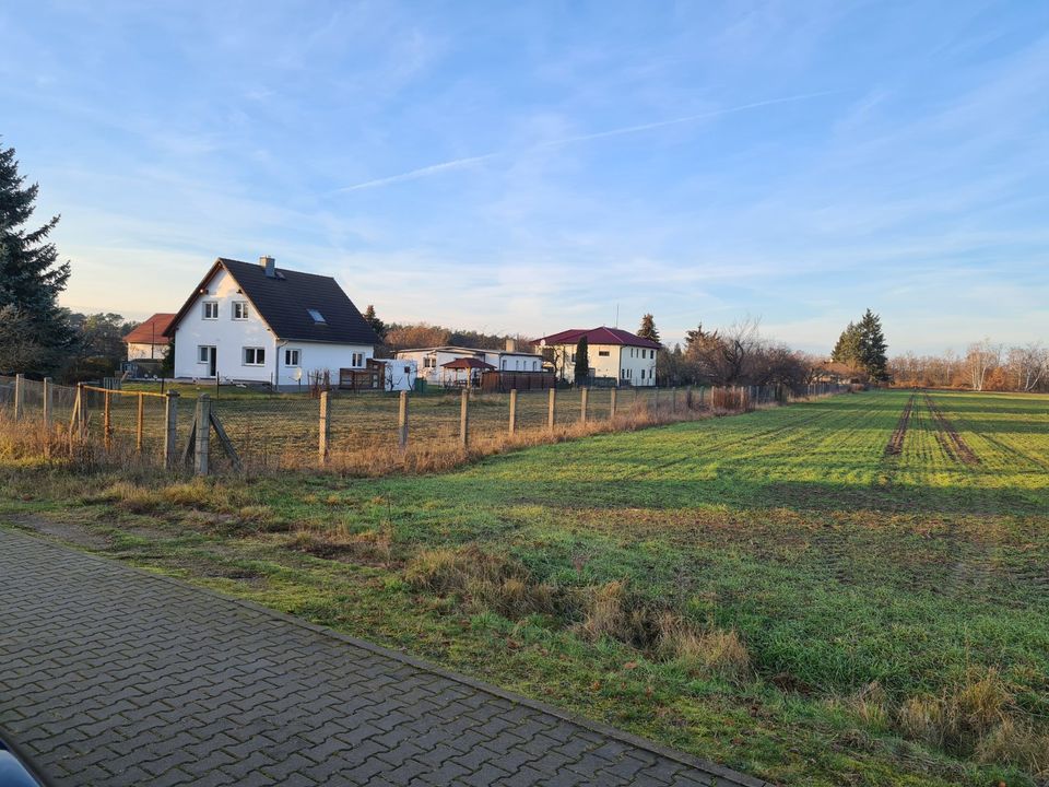 41+ Garten Mit Grundstück Kaufen Cottbus, In der nähe ihr