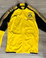 BVB Borussia Dortmund Puma Trainingsjacke Gr. 176 Neu Nordrhein-Westfalen - Lübbecke  Vorschau