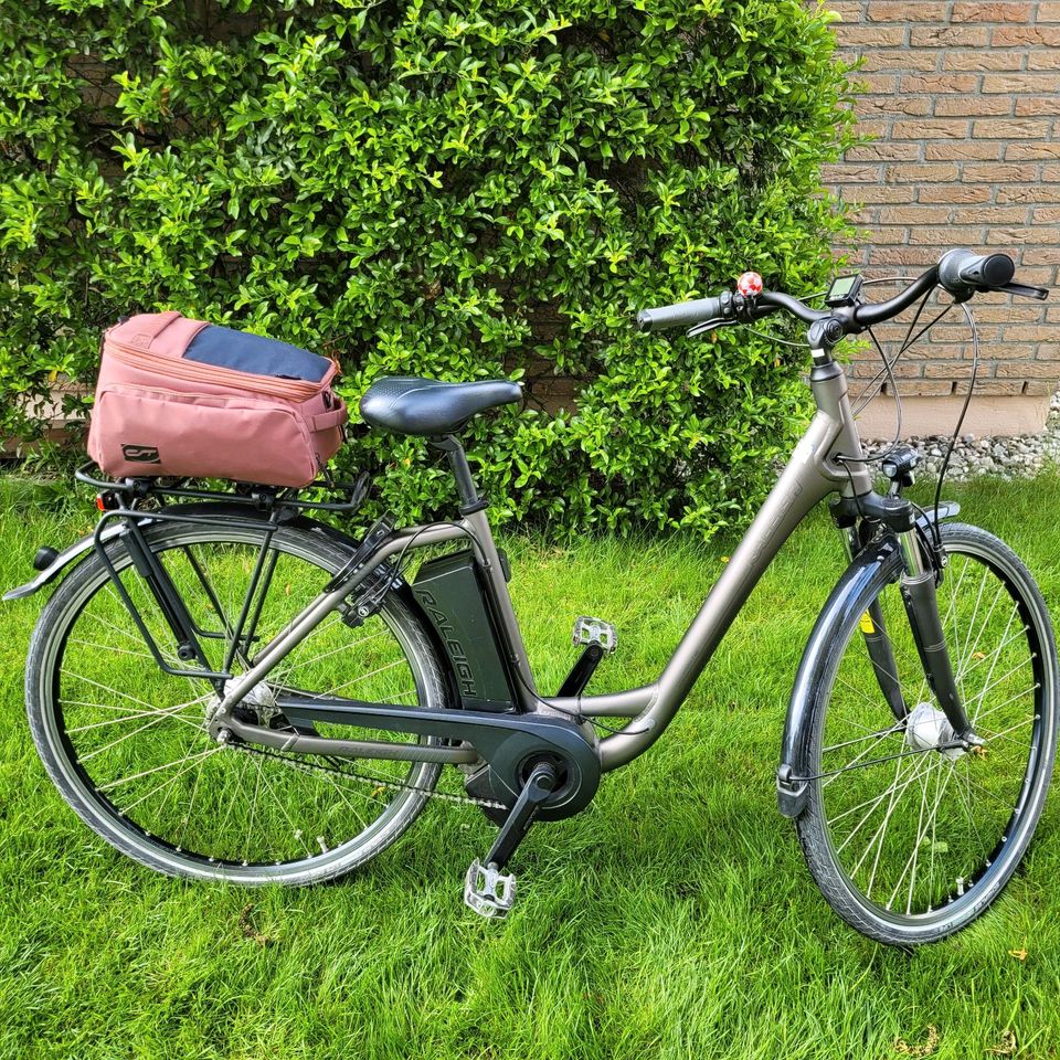 Raleigh Dover Wave Damenrad in Medlingen