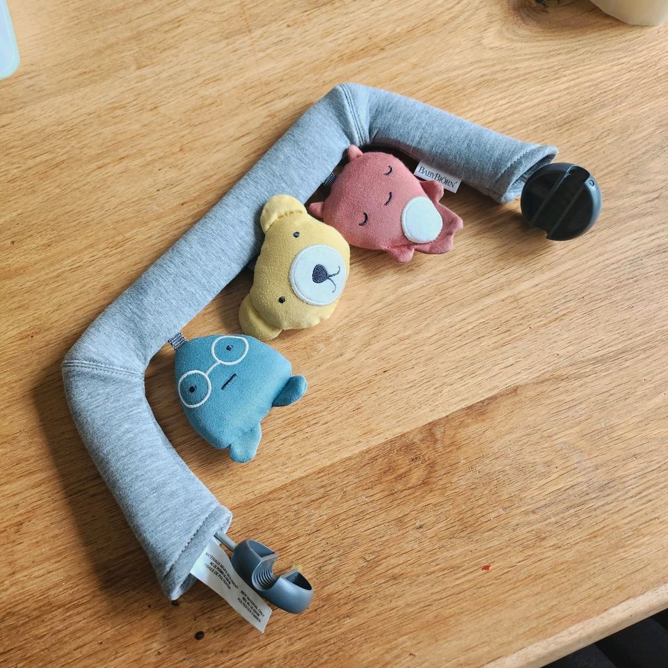 Spielzeug für Babybjörn Wippe Original. in Fürth