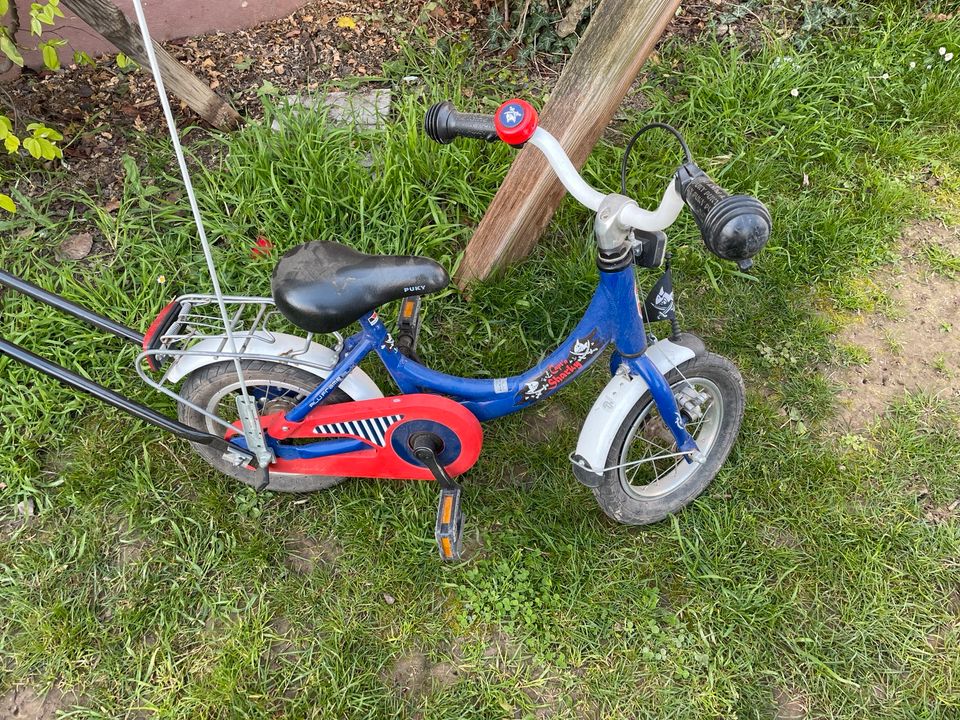 Puky Captain Sharky Fahrrad in Landau in der Pfalz