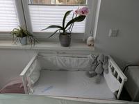 Babybay Beistellbett Midi komplett Set Berlin - Kladow Vorschau