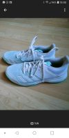 Turnschuhe / Sportschuhe / Hallenschuhe /Hallensportschuhe Bielefeld - Bielefeld (Innenstadt) Vorschau