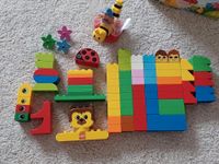 Lego Duplo Starter Set (Mix) Niedersachsen - Katlenburg-Lindau Vorschau