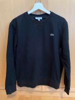 Lacoste Pullover Pulli wie neu schwarz Berlin - Steglitz Vorschau