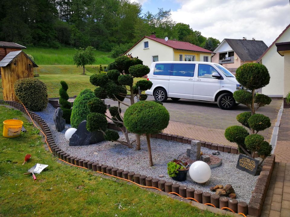 Gärtner- Gartenpflege - Heckenschnitt - Gartenhilfe- Objektpflege in Bad Hersfeld