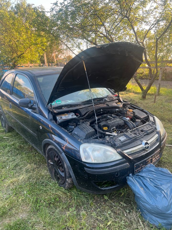 Opel Corsa teile  zu verkaufen in Mainz