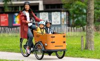 Babboe Go Mountain E-Bike Lastenrad Lastenfahrrad Bakfiets Nordrhein-Westfalen - Goch Vorschau