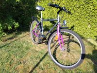 Jungen Fahrrad 26"Zoll 18Gang Schaltung grau/lila Mars Schleswig-Holstein - Kaltenkirchen Vorschau