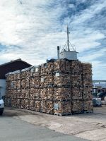 Brennholz , Kaminholz Buche ohne Rinde Niedersachsen - Hameln Vorschau